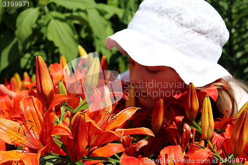 Image of little girl smells lilies on the flower-bed