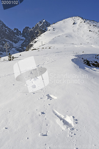 Image of Mountains in winter