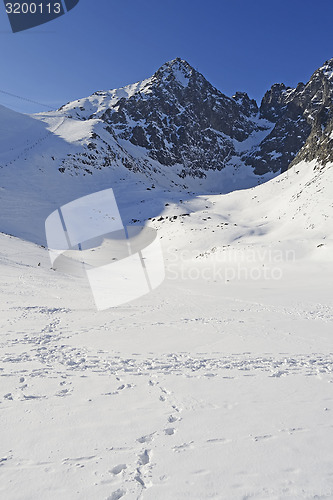 Image of Mountains in winter