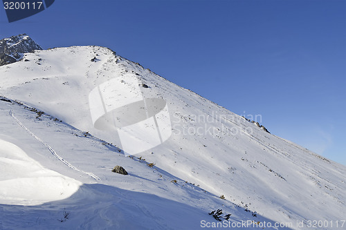 Image of Mountains in winter