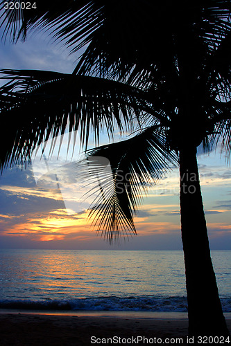 Image of Tropical Sundown