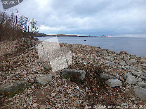 Image of Stony coast