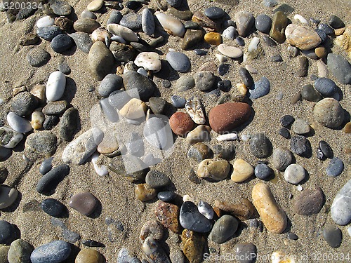 Image of Sand background with sea pebbles