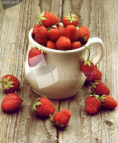 Image of Forest Strawberries