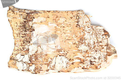 Image of birch bark