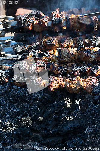 Image of shish kebab on the extinct fuming fire