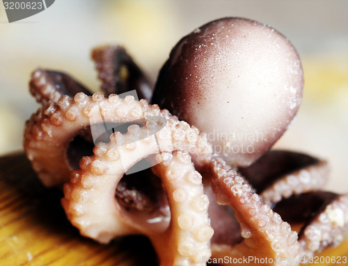 Image of Seafood