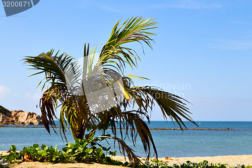 Image of   asia in   bay the  koh phangan  isle white  beach     
