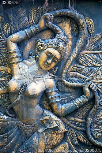 Image of kho phangan bangkok thailand incision gods   earth in green