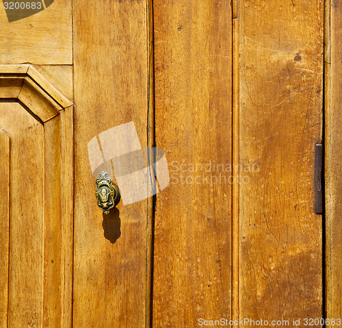 Image of  venegono abstract brass brown knocker door curch   lombardy ita