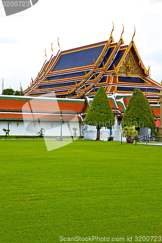 Image of  pavement gold    temple   in   bangkok tree