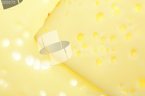 Image of Cheese background