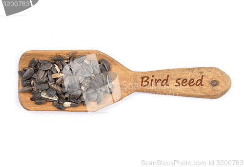 Image of Bird seed on shovel