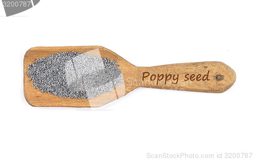 Image of Poppy seeds on shovel