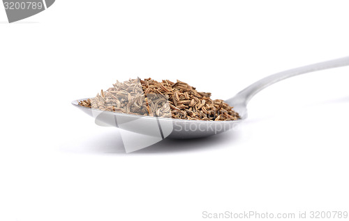 Image of Caraway seeds on spoon