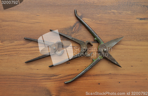 Image of Pair of snips and pincers