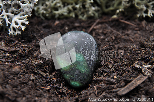 Image of Zoisite on forest floor