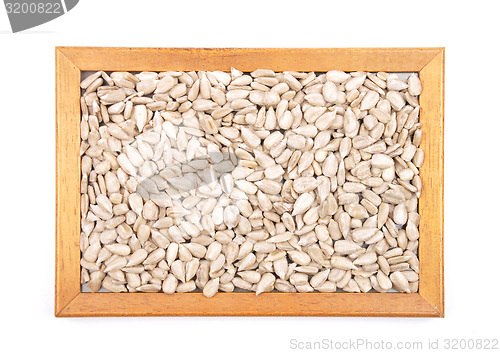 Image of Sunflower seeds background