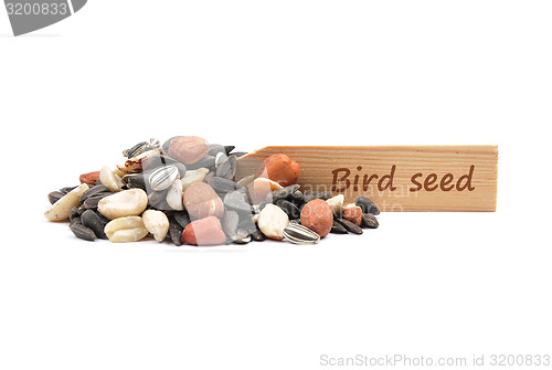 Image of Bird seed at plate