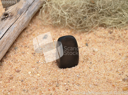 Image of Onyx  on beach