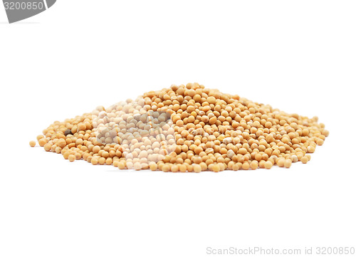 Image of Mustard seeds