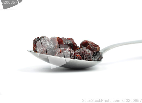 Image of Dried cranberries on spoon