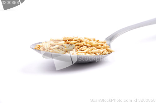 Image of Oat on spoon