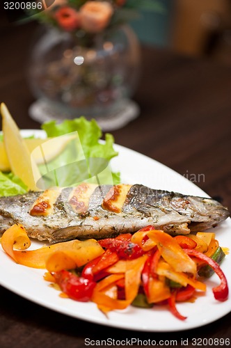 Image of rainbow trout fish