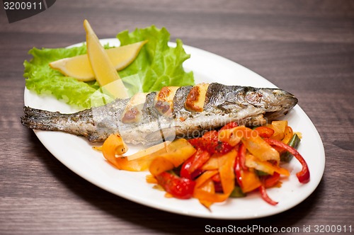 Image of rainbow trout fish