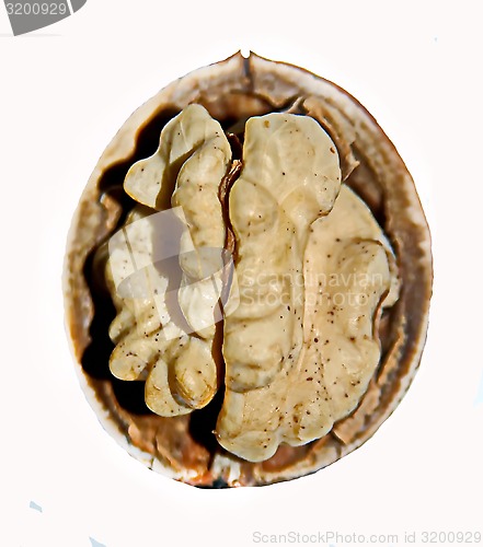 Image of walnuts