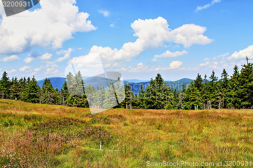 Image of jeseniky mountains (czech republic)