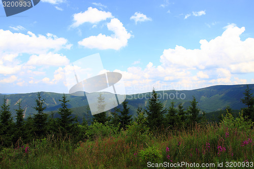 Image of jeseniky mountains (czech republic)