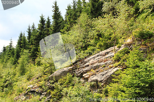 Image of jeseniky mountains (czech republic)