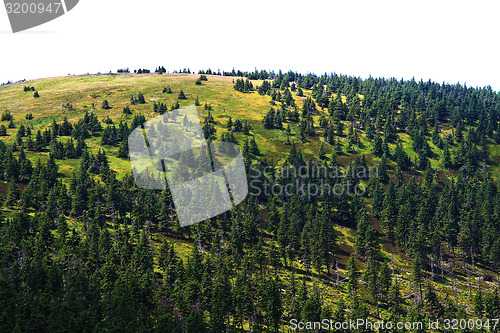 Image of jeseniky mountains (czech republic)