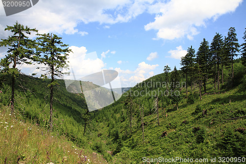Image of jeseniky mountains (czech republic)
