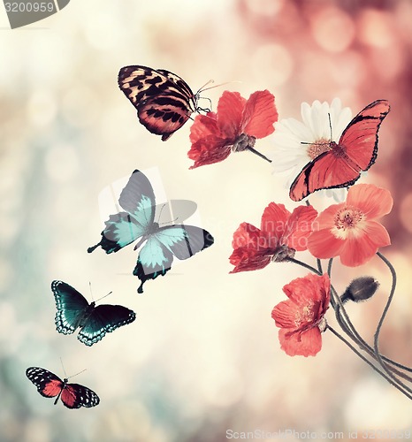 Image of Flowers And Butterflies