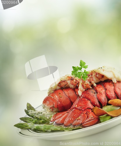 Image of Grilled Lobster Tail
