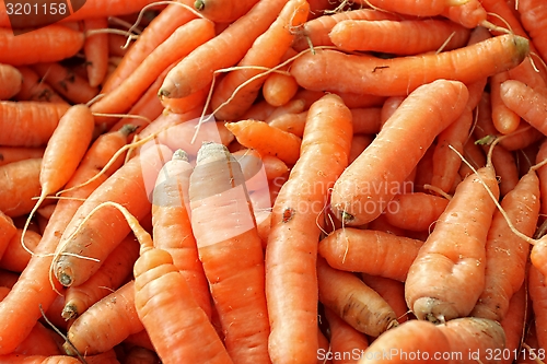 Image of Carrots