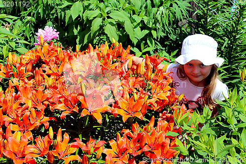 Image of little girl smells lilies on the flower-bed