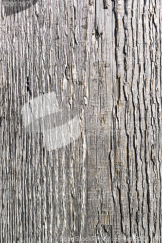 Image of Rough texture of wooden plank