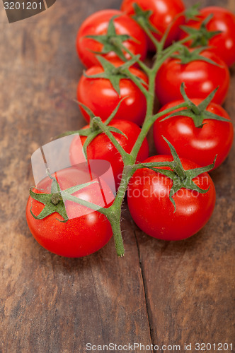 Image of fresh cherry tomatoes on a cluster