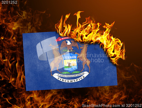 Image of Flag burning - Michigan