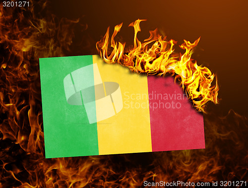 Image of Flag burning - Mali