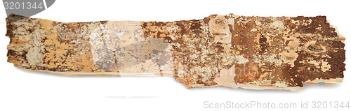Image of birch bark