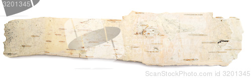Image of birch bark