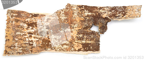 Image of birch bark