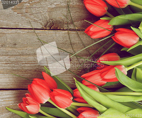 Image of Spring Tulips