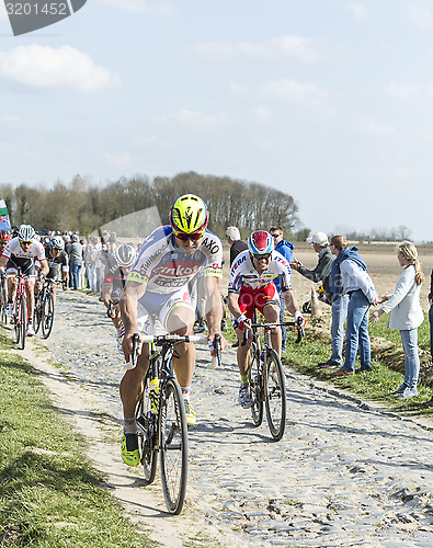 Image of The Peloton- Paris Roubaix 2015