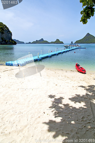 Image of plastic pier  coastline of a  green lagoon and tree  phangan   b