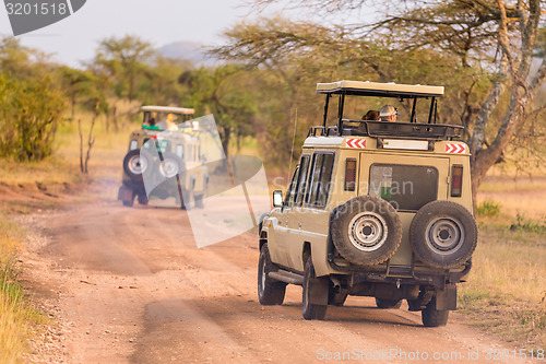 Image of Jeeps on african wildlife safari. 